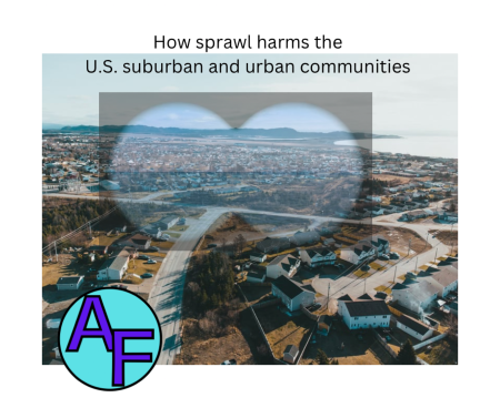 Gun violence and car violence collude with sprawl